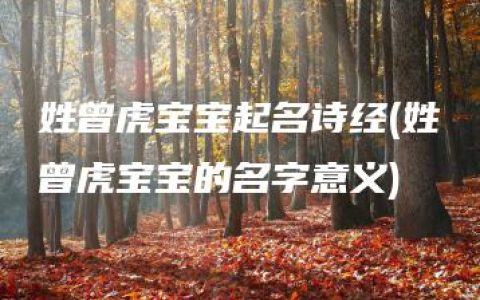 姓曾虎宝宝起名诗经(姓曾虎宝宝的名字意义)