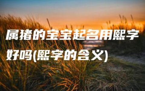 属猪的宝宝起名用熙字好吗(熙字的含义)