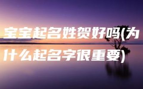 宝宝起名姓贺好吗(为什么起名字很重要)