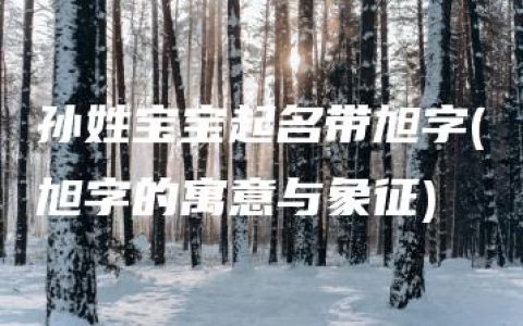 孙姓宝宝起名带旭字(旭字的寓意与象征)