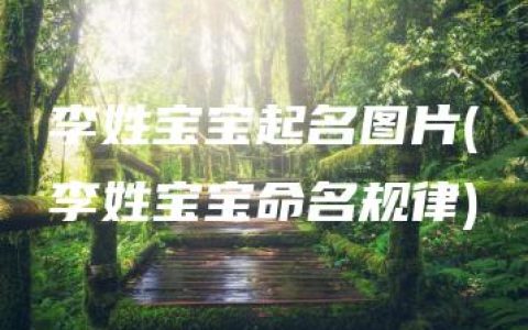 李姓宝宝起名图片(李姓宝宝命名规律)