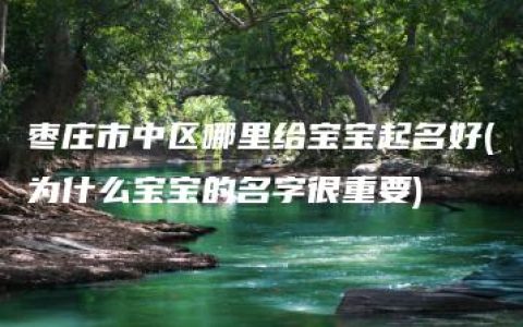 枣庄市中区哪里给宝宝起名好(为什么宝宝的名字很重要)