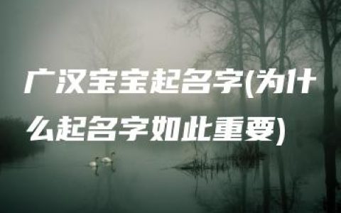 广汉宝宝起名字(为什么起名字如此重要)