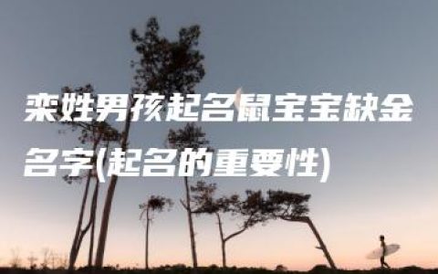 栾姓男孩起名鼠宝宝缺金名字(起名的重要性)