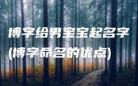 博字给男宝宝起名字(博字命名的优点)