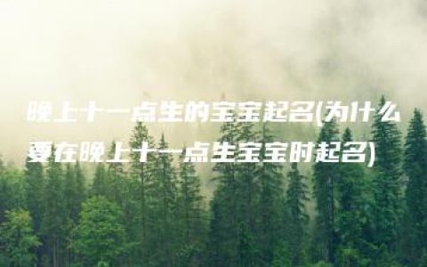 晚上十一点生的宝宝起名(为什么要在晚上十一点生宝宝时起名)