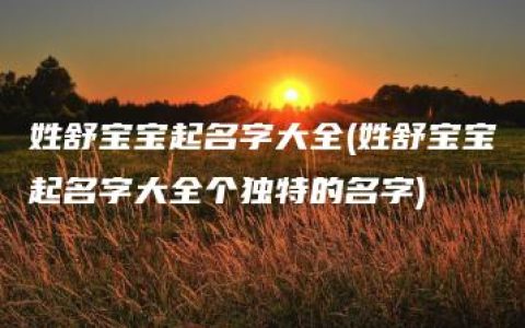 姓舒宝宝起名字大全(姓舒宝宝起名字大全个独特的名字)