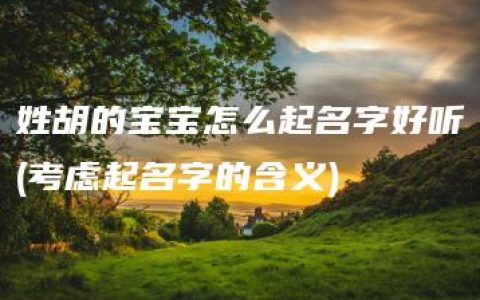 姓胡的宝宝怎么起名字好听(考虑起名字的含义)