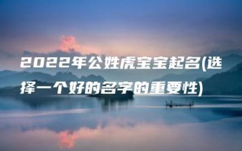 2022年公姓虎宝宝起名(选择一个好的名字的重要性)