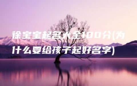 徐宝宝起名大全100分(为什么要给孩子起好名字)