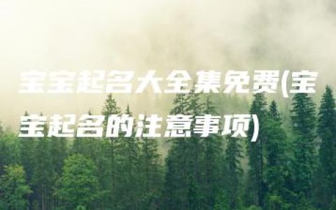 宝宝起名大全集免费(宝宝起名的注意事项)