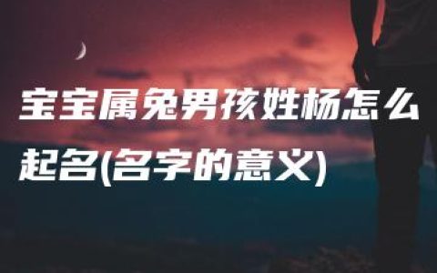 宝宝属兔男孩姓杨怎么起名(名字的意义)