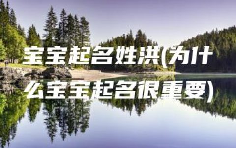 宝宝起名姓洪(为什么宝宝起名很重要)