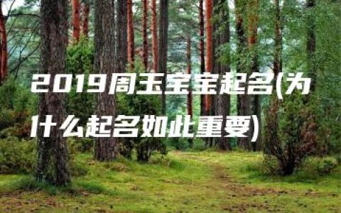 2019周玉宝宝起名(为什么起名如此重要)