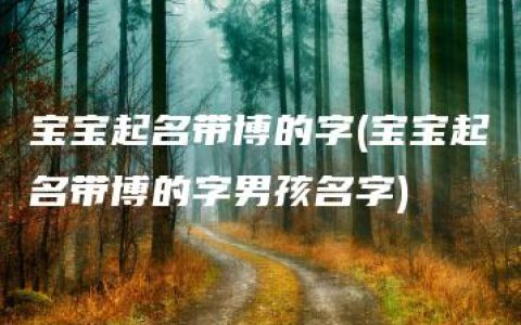 宝宝起名带博的字(宝宝起名带博的字男孩名字)