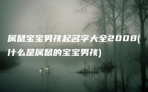 属鼠宝宝男孩起名字大全2008(什么是属鼠的宝宝男孩)