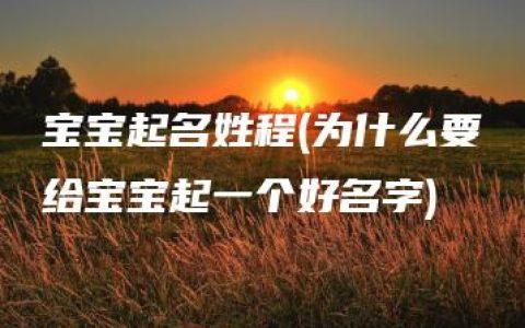 宝宝起名姓程(为什么要给宝宝起一个好名字)