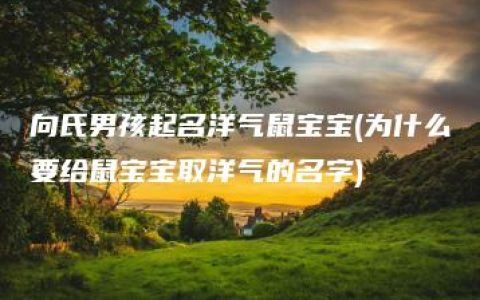 向氏男孩起名洋气鼠宝宝(为什么要给鼠宝宝取洋气的名字)