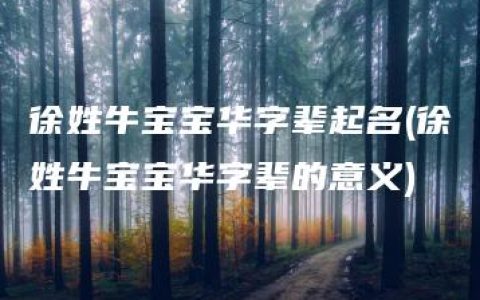 徐姓牛宝宝华字辈起名(徐姓牛宝宝华字辈的意义)