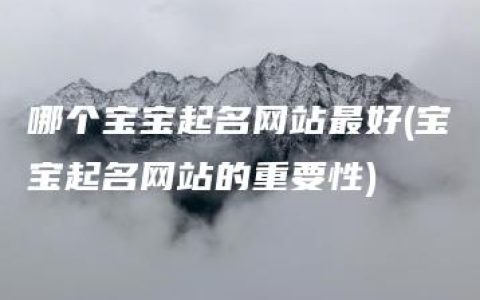 哪个宝宝起名网站最好(宝宝起名网站的重要性)