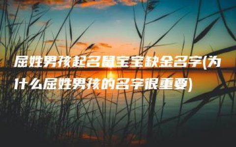 屈姓男孩起名鼠宝宝缺金名字(为什么屈姓男孩的名字很重要)