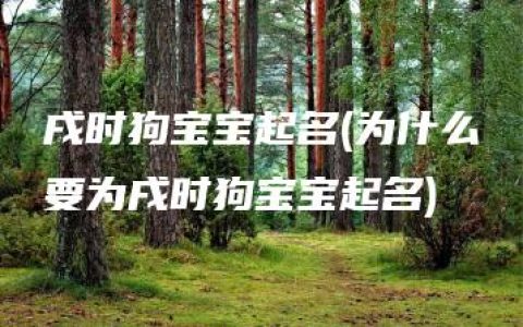 戌时狗宝宝起名(为什么要为戌时狗宝宝起名)