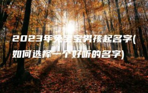 2023年兔宝宝男孩起名字(如何选择一个好听的名字)