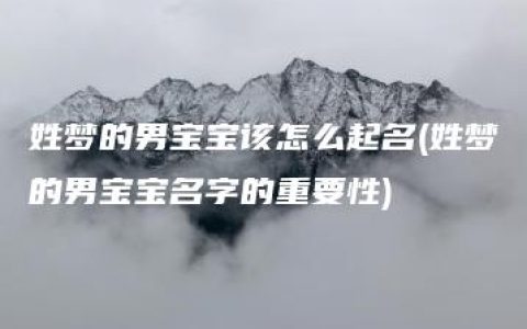 姓梦的男宝宝该怎么起名(姓梦的男宝宝名字的重要性)