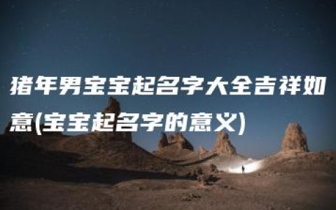 猪年男宝宝起名字大全吉祥如意(宝宝起名字的意义)