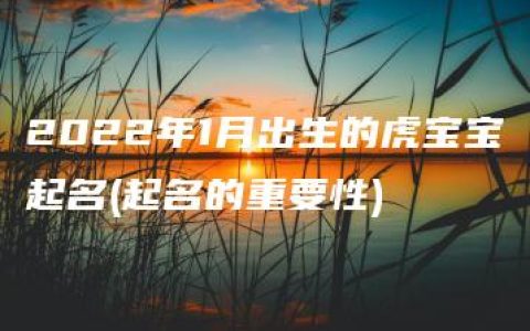 2022年1月出生的虎宝宝起名(起名的重要性)