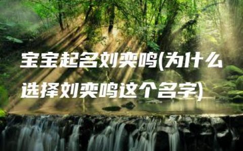 宝宝起名刘奕鸣(为什么选择刘奕鸣这个名字)