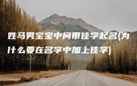 姓马男宝宝中间带佳字起名(为什么要在名字中加上佳字)