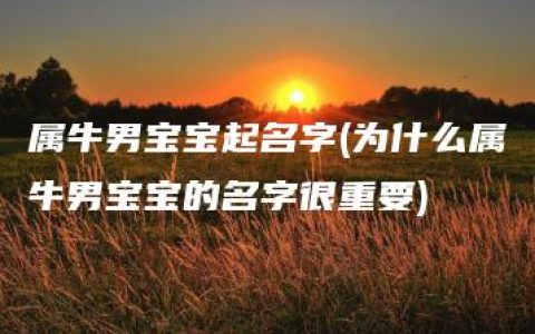 属牛男宝宝起名字(为什么属牛男宝宝的名字很重要)