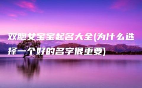 双胞女宝宝起名大全(为什么选择一个好的名字很重要)