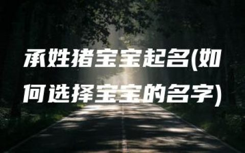 承姓猪宝宝起名(如何选择宝宝的名字)