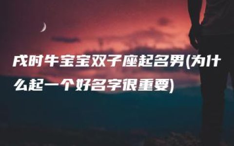 戌时牛宝宝双子座起名男(为什么起一个好名字很重要)