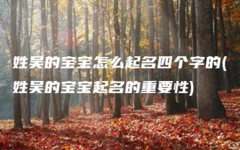 姓吴的宝宝怎么起名四个字的(姓吴的宝宝起名的重要性)