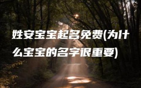 姓安宝宝起名免费(为什么宝宝的名字很重要)