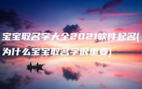 宝宝取名字大全2021软件起名(为什么宝宝取名字很重要)