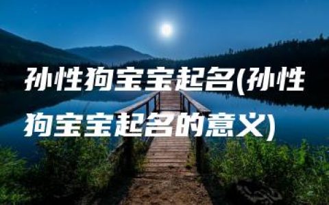 孙性狗宝宝起名(孙性狗宝宝起名的意义)