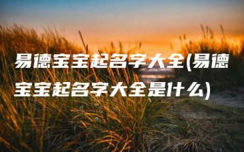 易德宝宝起名字大全(易德宝宝起名字大全是什么)