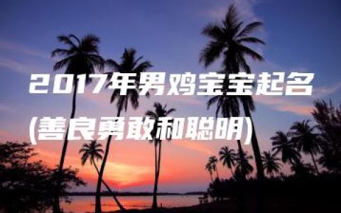 2017年男鸡宝宝起名(善良勇敢和聪明)