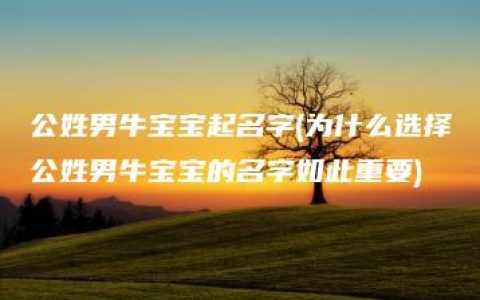 公姓男牛宝宝起名字(为什么选择公姓男牛宝宝的名字如此重要)