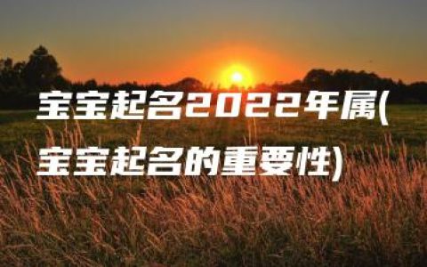 宝宝起名2022年属(宝宝起名的重要性)