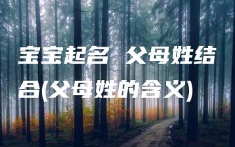 宝宝起名 父母姓结合(父母姓的含义)