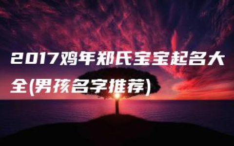 2017鸡年郑氏宝宝起名大全(男孩名字推荐)