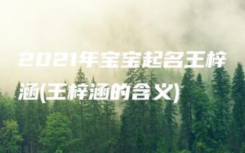 2021年宝宝起名王梓涵(王梓涵的含义)