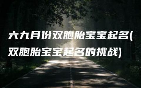 六九月份双胞胎宝宝起名(双胞胎宝宝起名的挑战)