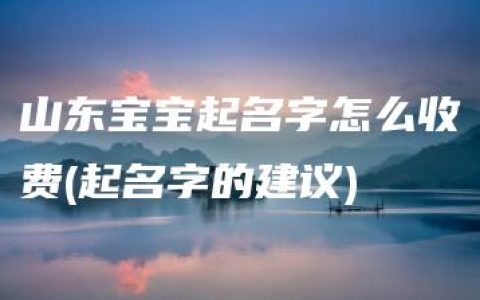 山东宝宝起名字怎么收费(起名字的建议)