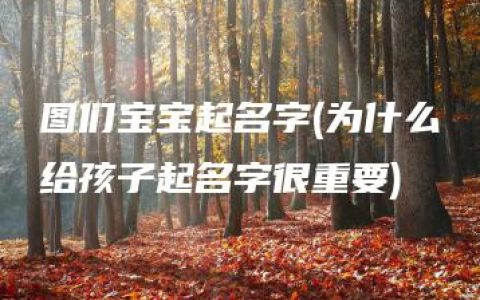 图们宝宝起名字(为什么给孩子起名字很重要)